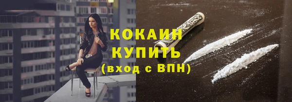 СК Медвежьегорск