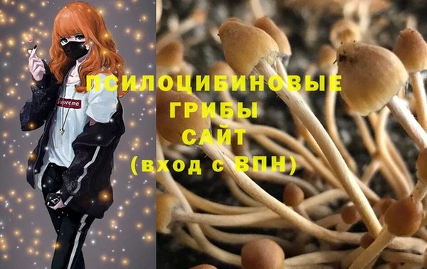 гидропоника Мегион
