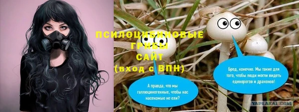 СК Медвежьегорск
