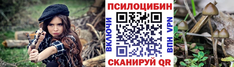 Купить закладки  Кулебаки  Галлюциногенные грибы MAGIC MUSHROOMS 